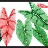 Cuadro alocasia