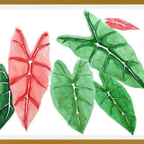 Cuadro alocasia