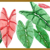 Cuadro alocasia