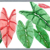 Cuadro alocasia