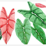 Cuadro alocasia