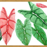Cuadro alocasia
