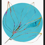 Cuadro Flor de Luna
