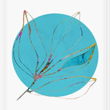 Cuadro Flor de Luna