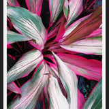 Cuadro Exotic