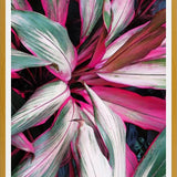 Cuadro Exotic