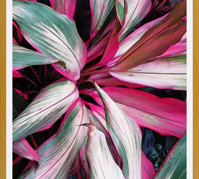 Cuadro Exotic