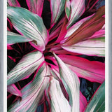 Cuadro Exotic