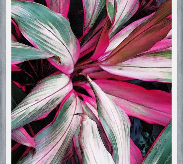 Cuadro Exotic