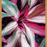 Cuadro Exotic