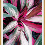Cuadro Exotic