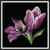 Cuadro Pareja de tulipanes
