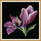 Cuadro Pareja de tulipanes