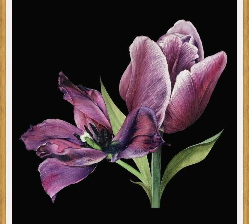 Cuadro Pareja de tulipanes