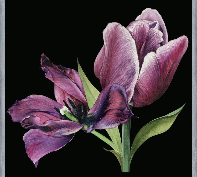 Cuadro Pareja de tulipanes