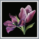 Cuadro Pareja de tulipanes