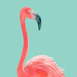 Canvas Flamingo In The Sky