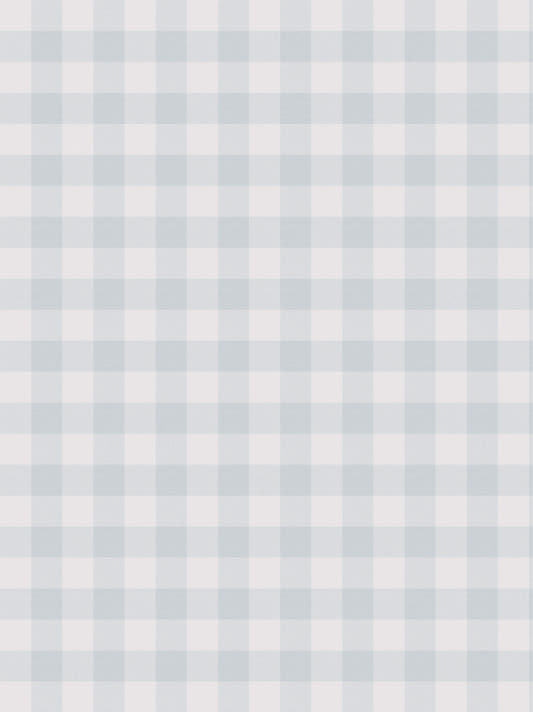 Papel Mural Vichy Baby Blue