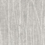 Papel Mural Betula