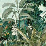 Papel Mural Selva