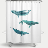 Cortina de Baño Ballena Jorobada, Ballena Azul y Ballena Minke - fondo blanco