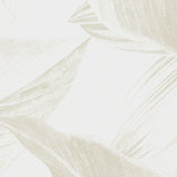 Papel Mural Tropical leaves in foggy forest