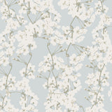 Papel Mural Apple Flowers