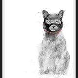 Cuadro Masked cat