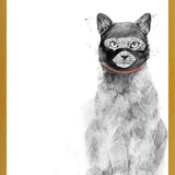 Cuadro Masked cat