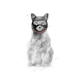 Canvas Masked cat