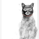 Cuadro Masked cat