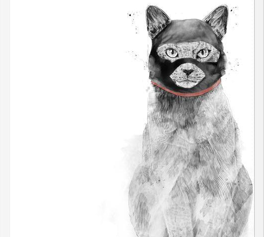 Cuadro Masked cat