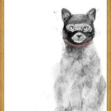 Cuadro Masked cat