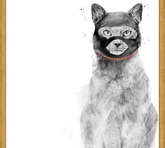 Cuadro Masked cat