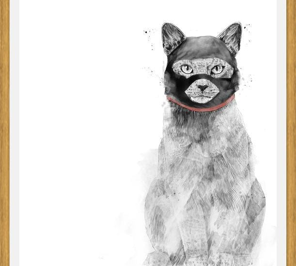 Cuadro Masked cat