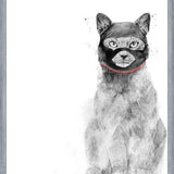 Cuadro Masked cat