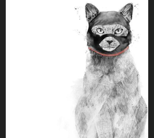 Cuadro Masked cat