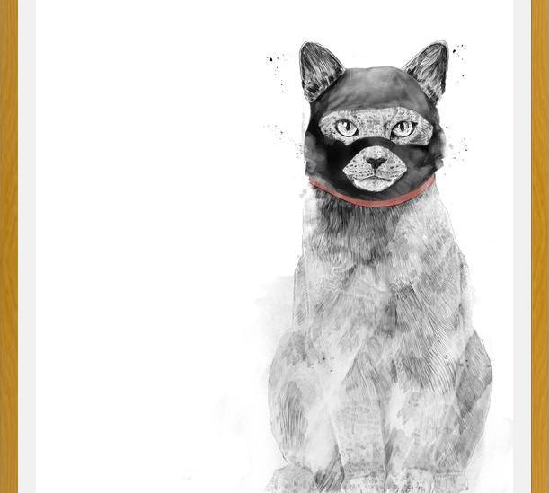 Cuadro Masked cat