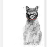 Cuadro Masked cat