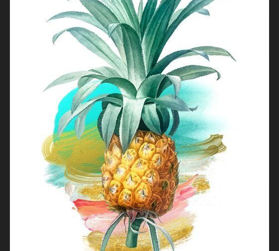Cuadro The Pineapple