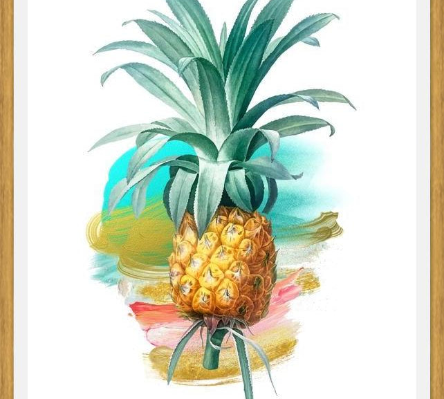 Cuadro The Pineapple