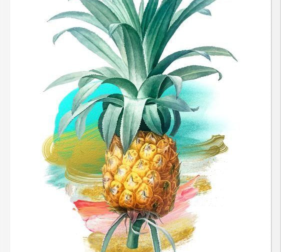 Cuadro The Pineapple