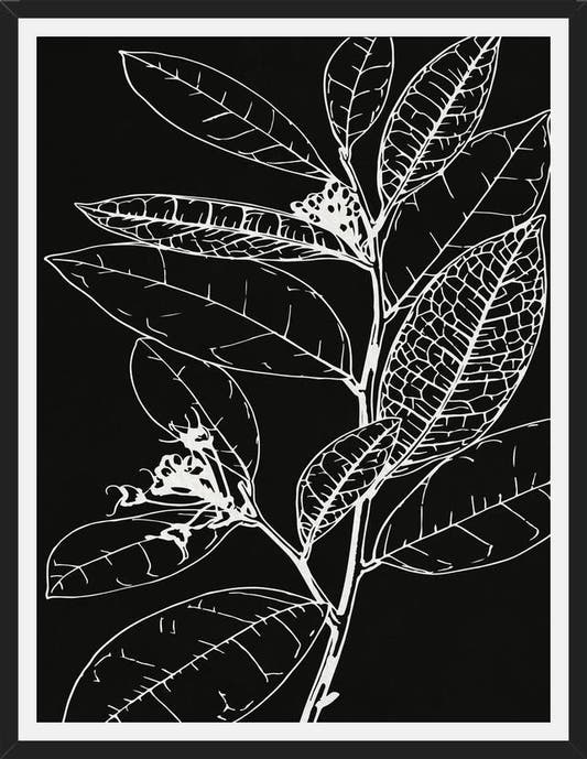 Cuadro LEAVES IN LINE - BLACK