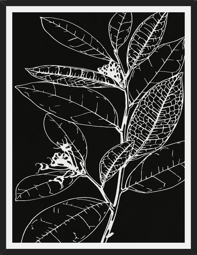 Cuadro LEAVES IN LINE - BLACK
