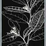 Cuadro LEAVES IN LINE - BLACK