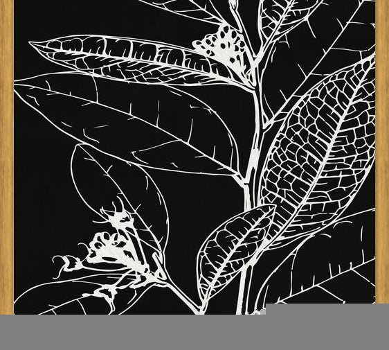 Cuadro LEAVES IN LINE - BLACK