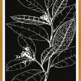 Cuadro LEAVES IN LINE - BLACK