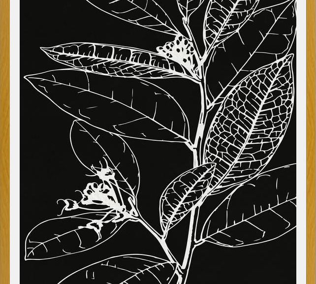 Cuadro LEAVES IN LINE - BLACK