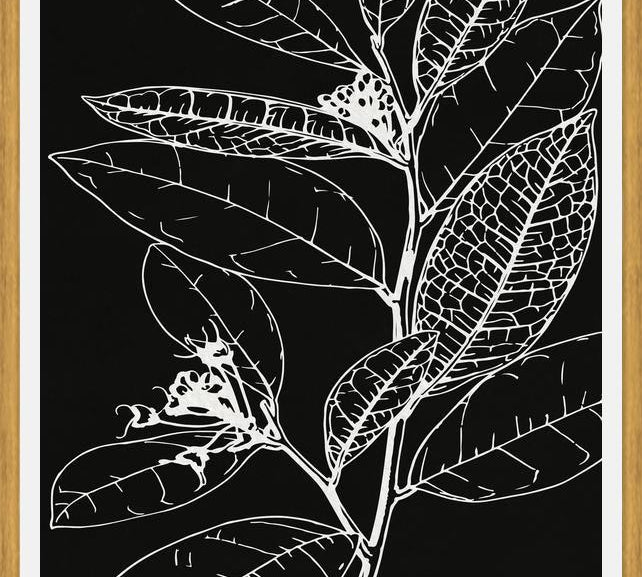 Cuadro LEAVES IN LINE - BLACK