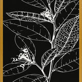 Cuadro LEAVES IN LINE - BLACK